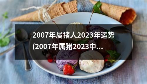 2007年属猪人2023年运势(2007年属猪2023中考运气怎样)