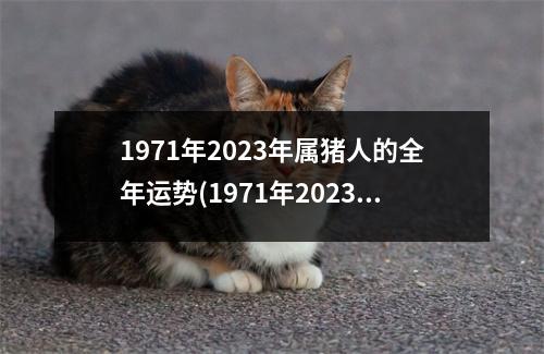 1971年2023年属猪人的全年运势(1971年2023年属猪人的全年运势及运程)