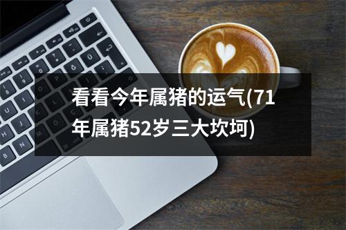 看看今年属猪的运气(71年属猪52岁三大坎坷)