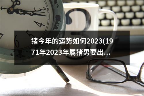 猪今年的运势如何2023(1971年2023年属猪男要出大事)