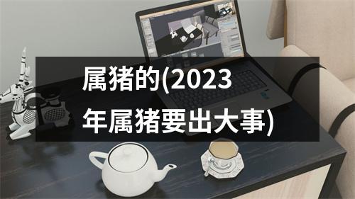 属猪的(2023年属猪要出大事)