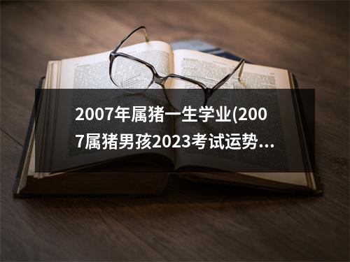 2007年属猪一生学业(2007属猪男孩2023考试运势)