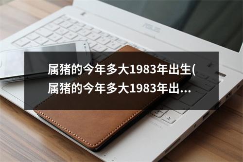 属猪的今年多大1983年出生(属猪的今年多大1983年出生的人)