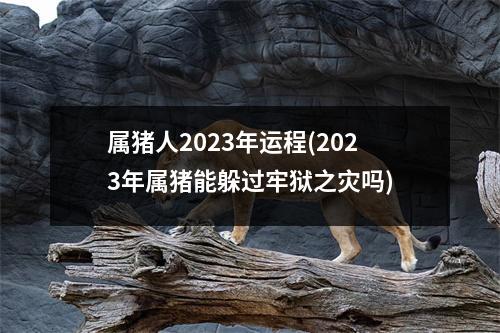 属猪人2023年运程(2023年属猪能躲过牢狱之灾吗)