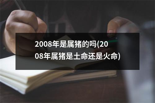 2008年是属猪的吗(2008年属猪是土命还是火命)