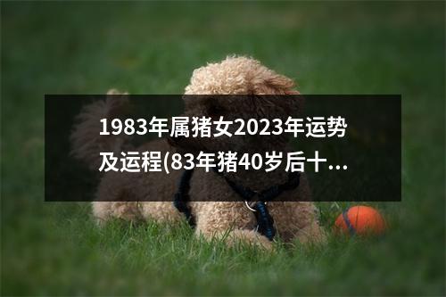 1983年属猪女2023年运势及运程(83年猪40岁后十年大运运程)