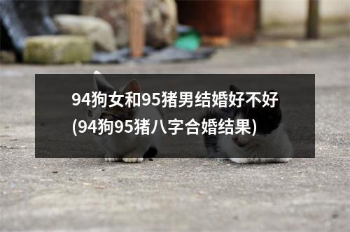 94狗女和95猪男结婚好不好(94狗95猪八字合婚结果)