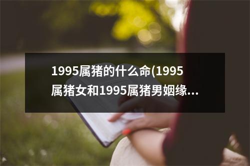 1995属猪的什么命(1995属猪女和1995属猪男姻缘)