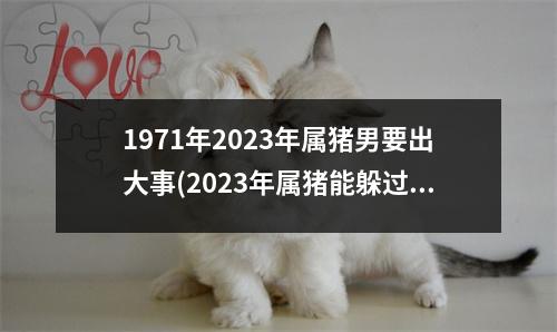 1971年2023年属猪男要出大事(2023年属猪能躲过牢狱之灾吗)