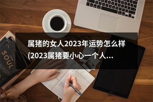 属猪的女人2023年运势怎么样(2023属猪要小心一个人)