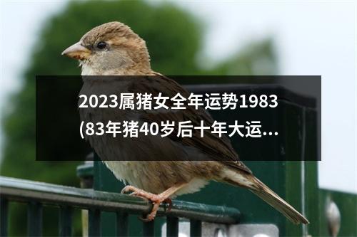 2023属猪女全年运势1983(83年猪40岁后十年大运运程)