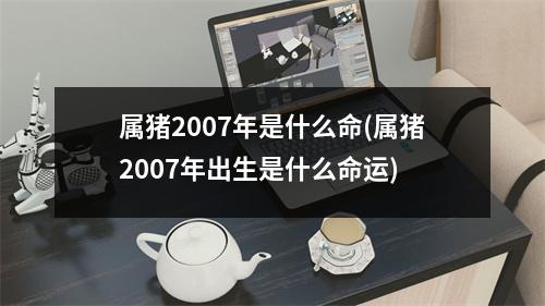 属猪2007年是什么命(属猪2007年出生是什么命运)