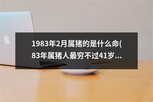 1983年2月属猪的是什么命(83年属猪人穷不过41岁)