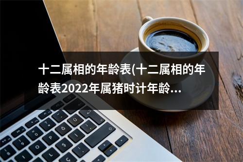 十二属相的年龄表(十二属相的年龄表2022年属猪时计年龄多大)