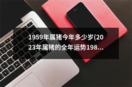 1959年属猪今年多少岁(2023年属猪的全年运势1983出生)