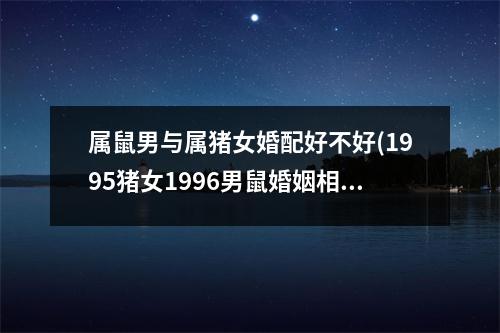 属鼠男与属猪女婚配好不好(1995猪女1996男鼠婚姻相配吗)