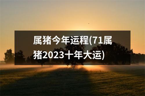 属猪今年运程(71属猪2023十年大运)