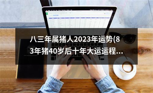 八三年属猪人2023年运势(83年猪40岁后十年大运运程)