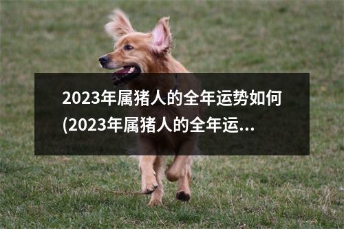 2023年属猪人的全年运势如何(2023年属猪人的全年运势如何1983年)