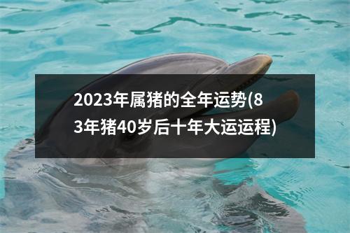 2023年属猪的全年运势(83年猪40岁后十年大运运程)