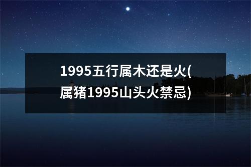 1995五行属木还是火(属猪1995山头火禁忌)