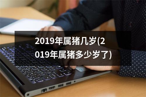 2019年属猪几岁(2019年属猪多少岁了)