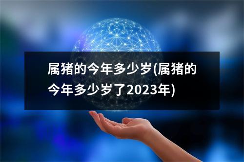 属猪的今年多少岁(属猪的今年多少岁了2023年)