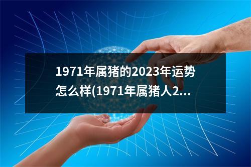 1971年属猪的2023年运势怎么样(1971年属猪人2023年运势及运程)