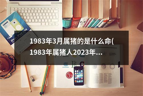 1983年3月属猪的是什么命(1983年属猪人2023年运势)