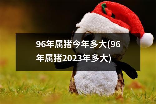 96年属猪今年多大(96年属猪2023年多大)