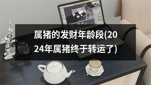 属猪的发财年龄段(2024年属猪终于转运了)