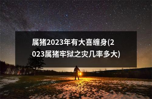 属猪2023年有大喜缠身(2023属猪牢狱之灾几率多大)