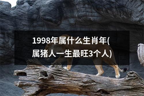 1998年属什么生肖年(属猪人一生旺3个人)