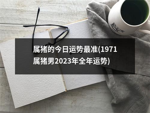 属猪的今日运势准(1971属猪男2023年全年运势)