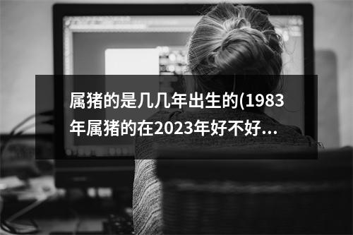 属猪的是几几年出生的(1983年属猪的在2023年好不好)