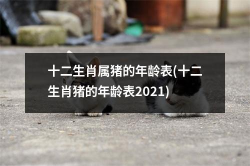 十二生肖属猪的年龄表(十二生肖猪的年龄表2021)