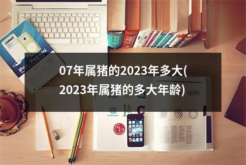 07年属猪的2023年多大(2023年属猪的多大年龄)