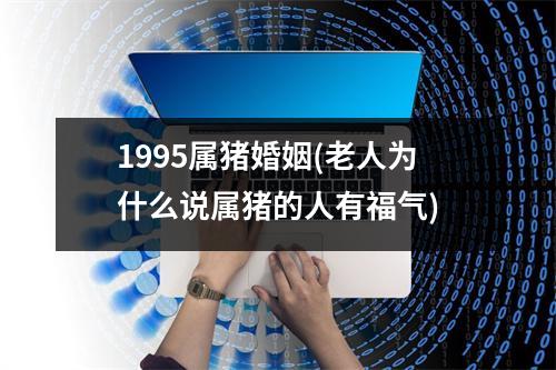 1995属猪婚姻(老人为什么说属猪的人有福气)