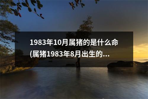 1983年10月属猪的是什么命(属猪1983年8月出生的女人)