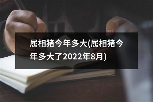 属相猪今年多大(属相猪今年多大了2022年8月)