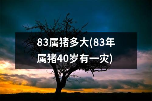 83属猪多大(83年属猪40岁有一灾)