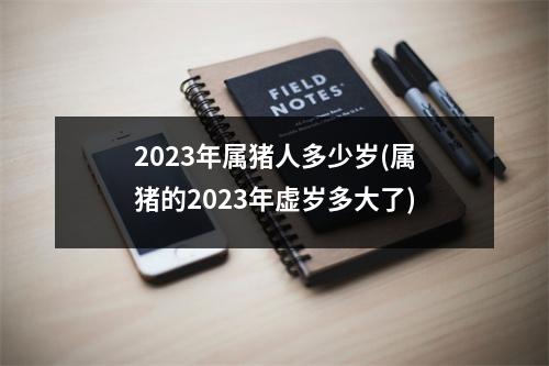 2023年属猪人多少岁(属猪的2023年虚岁多大了)