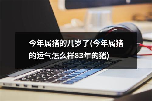 今年属猪的几岁了(今年属猪的运气怎么样83年的猪)