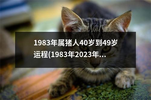 1983年属猪人40岁到49岁运程(1983年2023年的猪是百年难遇)