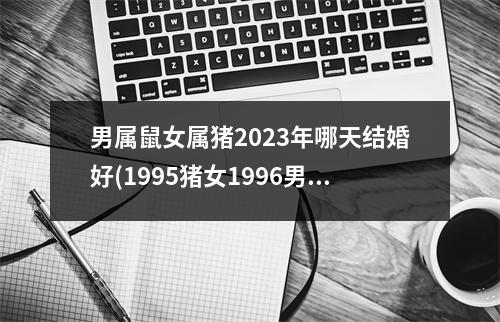 男属鼠女属猪2023年哪天结婚好(1995猪女1996男鼠婚姻相配吗)