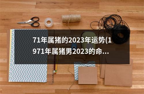 71年属猪的2023年运势(1971年属猪男2023的命运)