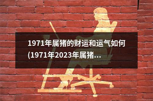 1971年属猪的财运和运气如何(1971年2023年属猪男要出大事)