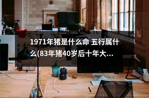 1971年猪是什么命 五行属什么(83年猪40岁后十年大运运程)