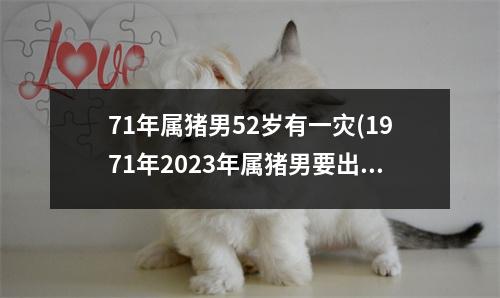 71年属猪男52岁有一灾(1971年2023年属猪男要出大事)