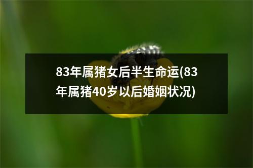 83年属猪女后半生命运(83年属猪40岁以后婚姻状况)